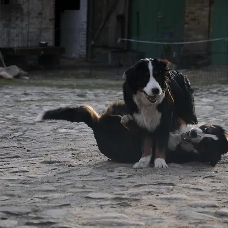 Apartamento Mirabellenhof- Remise *