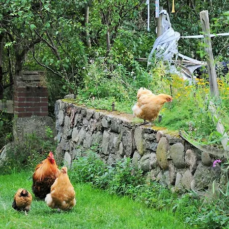 Mirabellenhof- Remise *