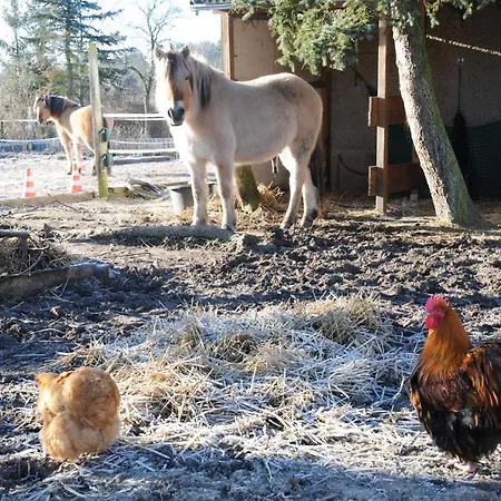 Apartamento Mirabellenhof- Remise Biesenthal