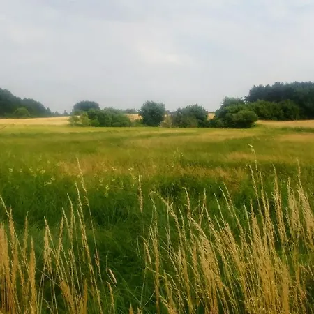 Mirabellenhof- Remise 아파트