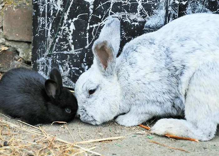 Mirabellenhof- Remise * Biesenthal