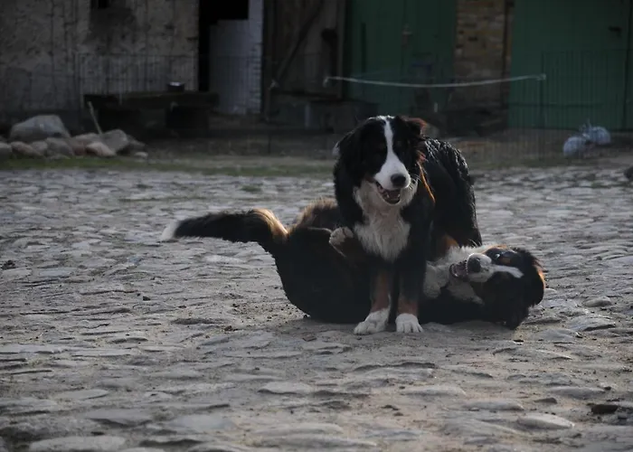 Apartamento Mirabellenhof- Remise *