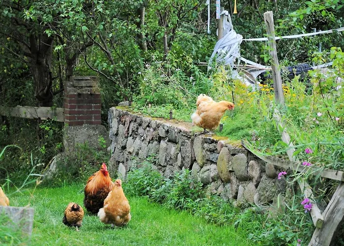 Mirabellenhof- Remise *