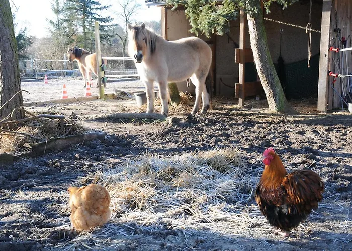 Apartament Mirabellenhof- Remise Biesenthal