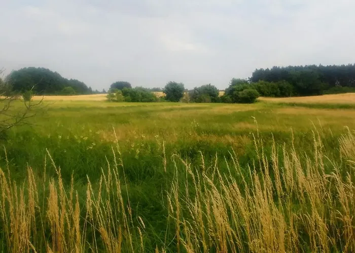 Mirabellenhof- Remise Apartamento